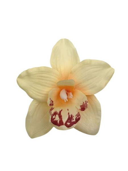 Storczyk główka 16 cm jasno brzoskwiniowy