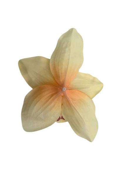 Storczyk główka 16 cm jasno brzoskwiniowy