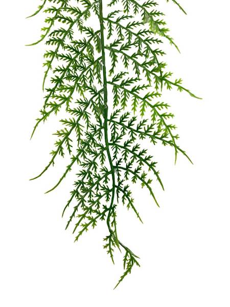 Paproć liść 63 cm jasno zielony