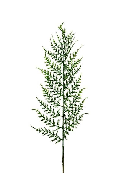 Paproć liść 63 cm jasno zielony