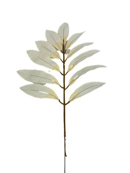 Liść laurowy gałązka 46 cm kremowy