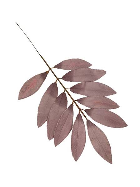 Liść laurowy gałązka 46 cm brudny fiolet
