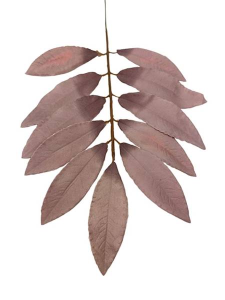 Liść laurowy gałązka 46 cm brudny fiolet