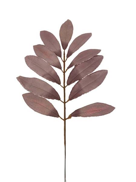 Liść laurowy gałązka 46 cm brudny fiolet