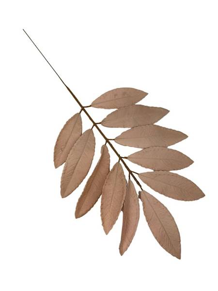 Liść laurowy gałązka 46 cm beżowy