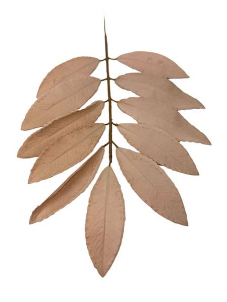 Liść laurowy gałązka 46 cm beżowy