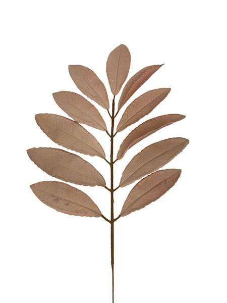 Liść laurowy gałązka 46 cm beżowy