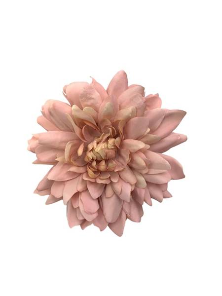 Dalia główka 11 cm pudrowy róż