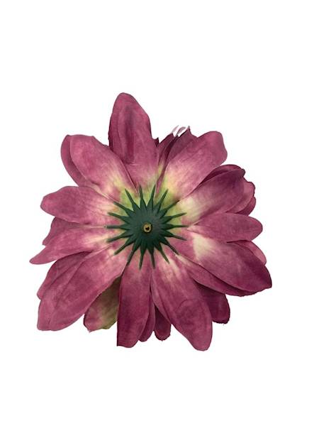 Dalia główka 11 cm fioletowa