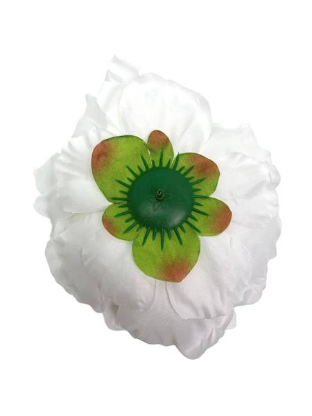 Piwonia główka 17 cm biała