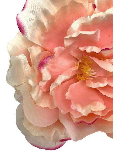 Piwonia główka 17 cm jasny róż