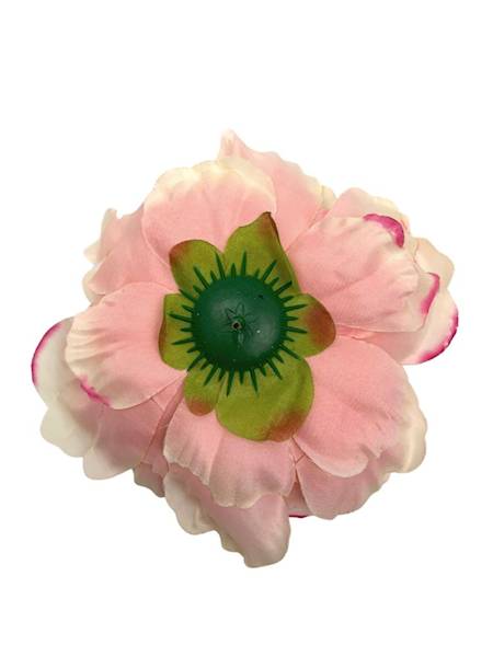 Piwonia główka 17 cm jasny róż