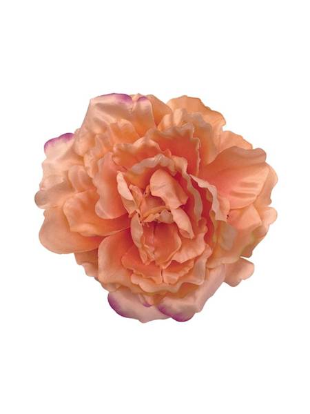 Piwonia główka 17 cm brzoskwiniowa