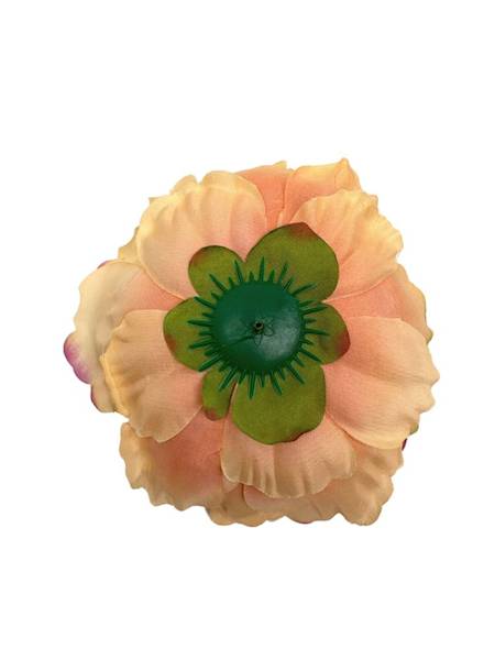 Piwonia główka 17 cm brzoskwiniowa