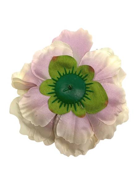 Piwonia główka 17 cm fioletowa z kremowym