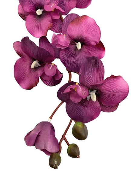 Storczyk gałązka 77 cm fuksja