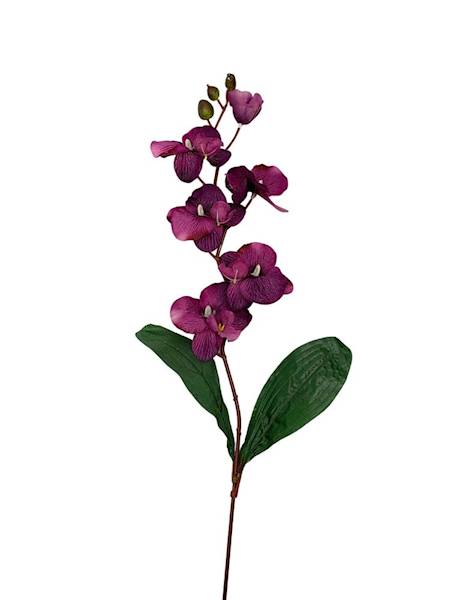 Storczyk gałązka 77 cm fuksja