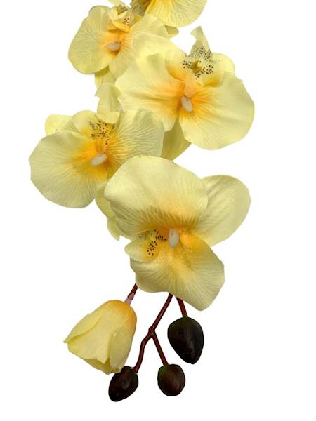 Storczyk gałązka 77 cm żółty