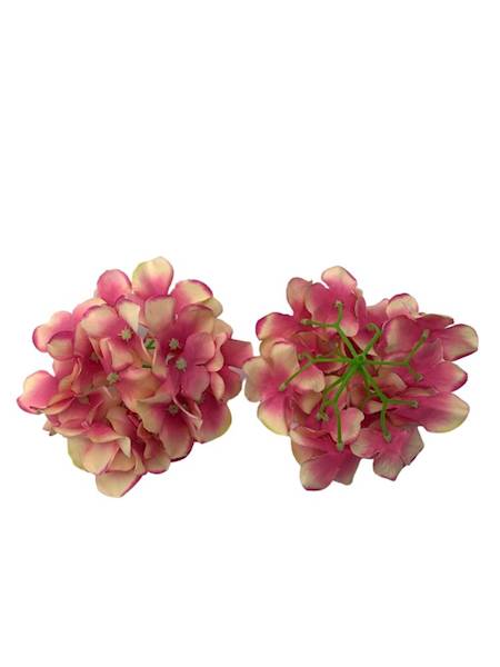 Hortensja główka 13 cm różowo kremowa