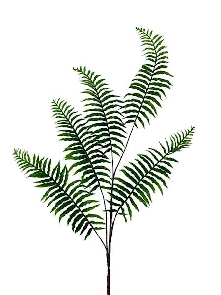 Liść paproci XL 104 cm zielony