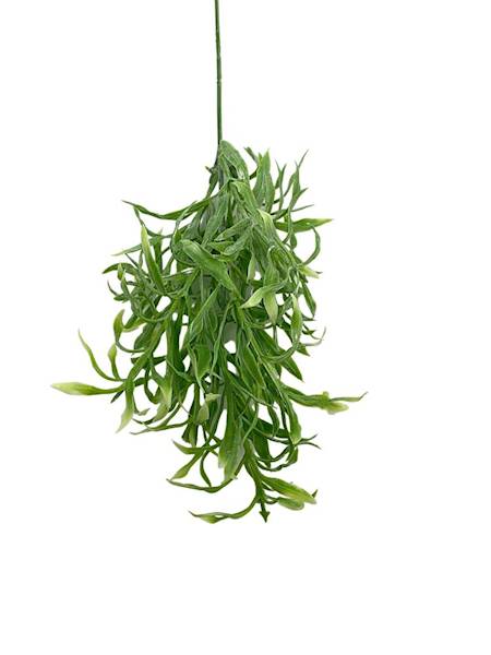 Trawa wodorosty gałązka 34 cm zielone