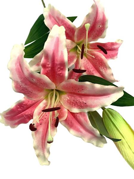 Lilia gałązka 96 cm różowa