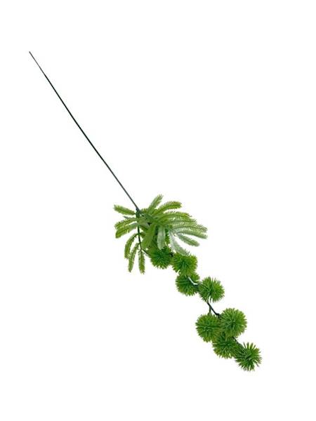 Czosnek dodatek gałązka 50 cm jasno zielony