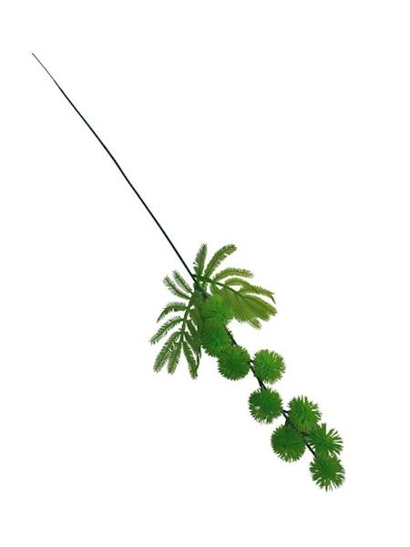 Czosnek dodatek gałązka 50 cm zielony