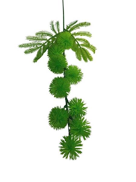 Czosnek dodatek gałązka 50 cm zielony