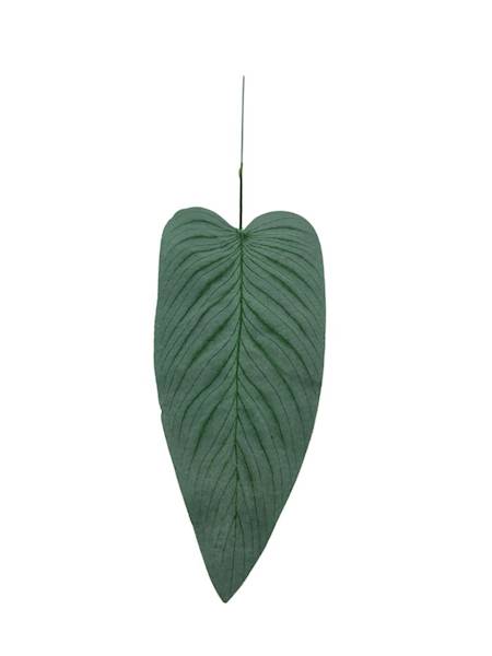 Liść 52 cm zielony omszony