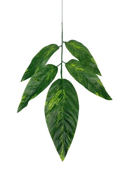 Liść mango 58 cm jasno zielony