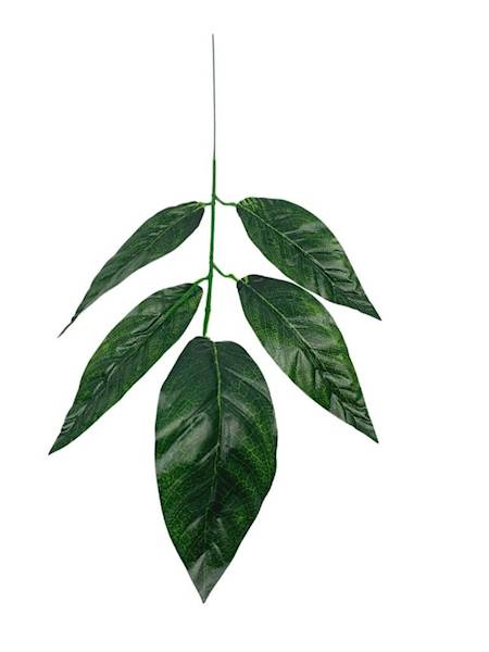 Liść mango 57 cm zielony