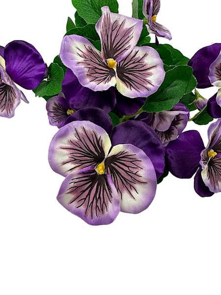 Bukiet bratek 30 cm fiolet i kremowy