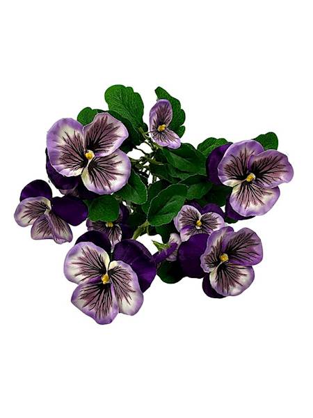 Bukiet bratek 30 cm fiolet i kremowy