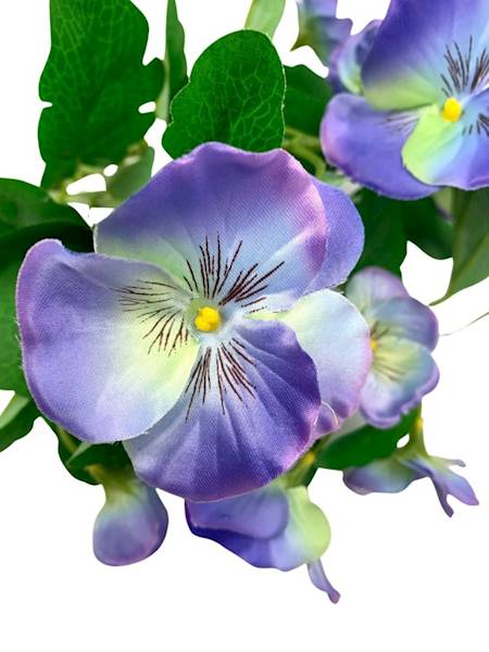 Bukiet bratek 30 cm niebieski