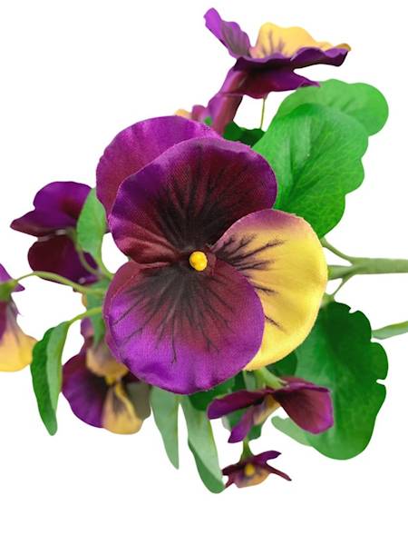 Bukiet bratek 30 cm purpurowo żółty