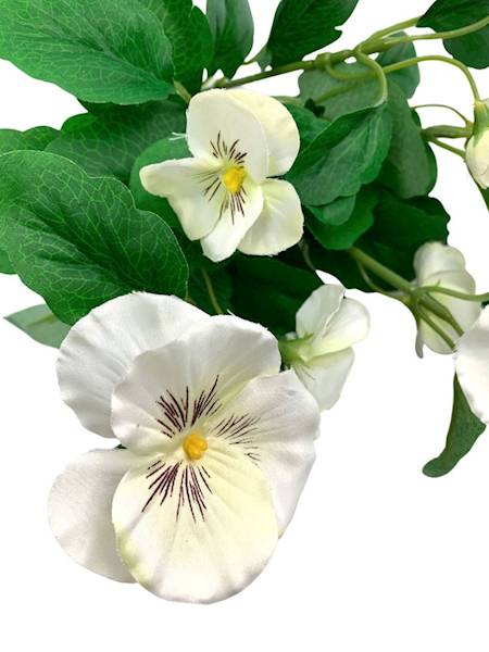 Bukiet bratek 30 cm fuksja