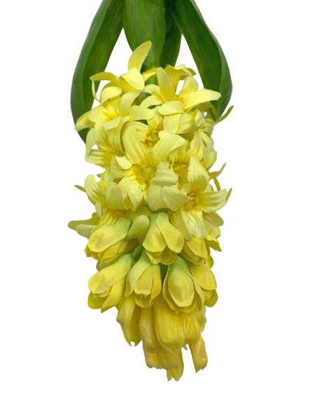 Hiacynt 40 cm żółty