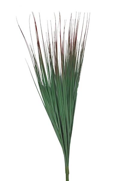Bukiet traw 115 cm zielony z czerwonymi końcami