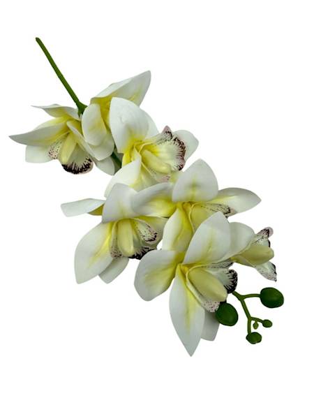 Storczyk silikonowy gałązka 31 cm kremowy