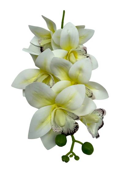 Storczyk silikonowy gałązka 31 cm kremowy