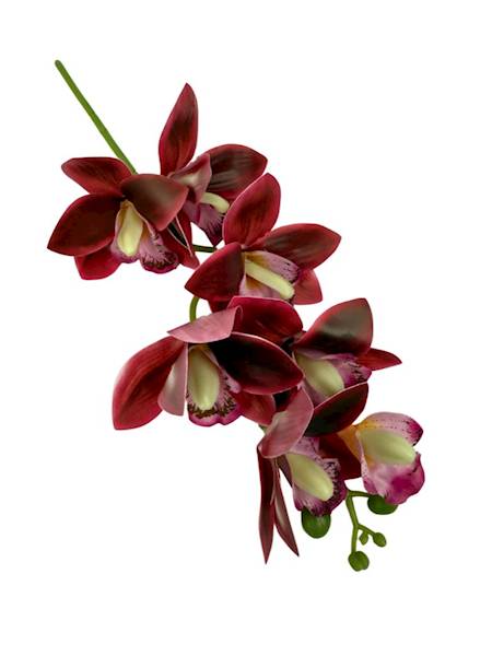 Storczyk silikonowy gałązka 31 cm bordo