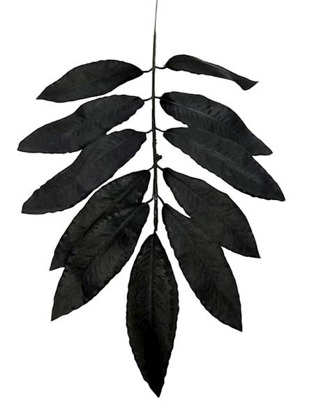 Liść laurowy gałązka 46 cm czarny
