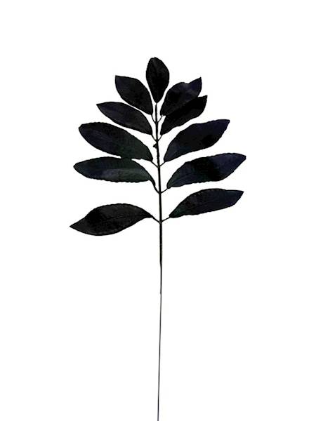 Liść laurowy gałązka 46 cm czarny