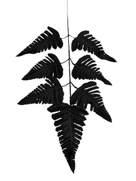 Liść pietrucha paproć 55 cm czarny
