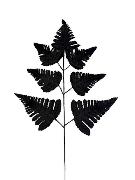 Liść pietrucha paproć 55 cm czarny