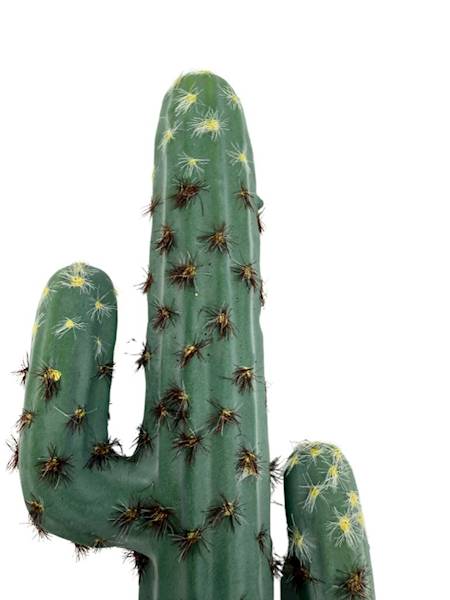 Kaktus na piku 31 cm 