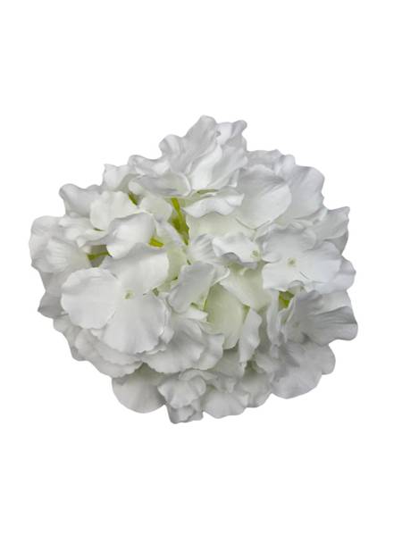 Hortensja główka 21 cm biała