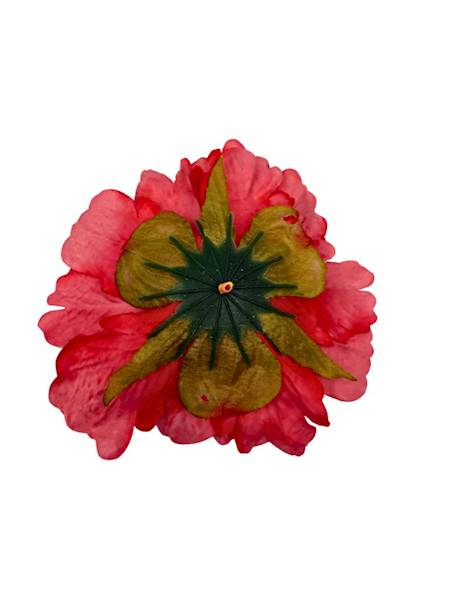 Piwonia główka 13 cm koralowa