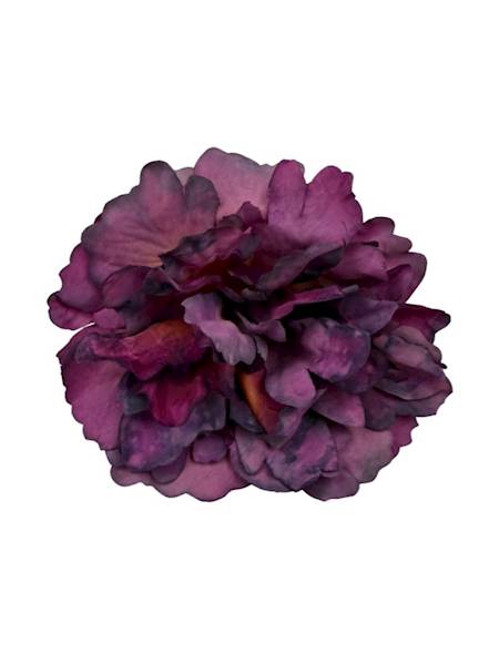 Piwonia główka 13 cm ciemny fiolet